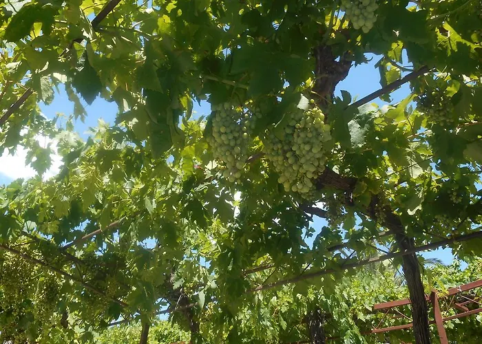 Bresan * Τρογκίρ